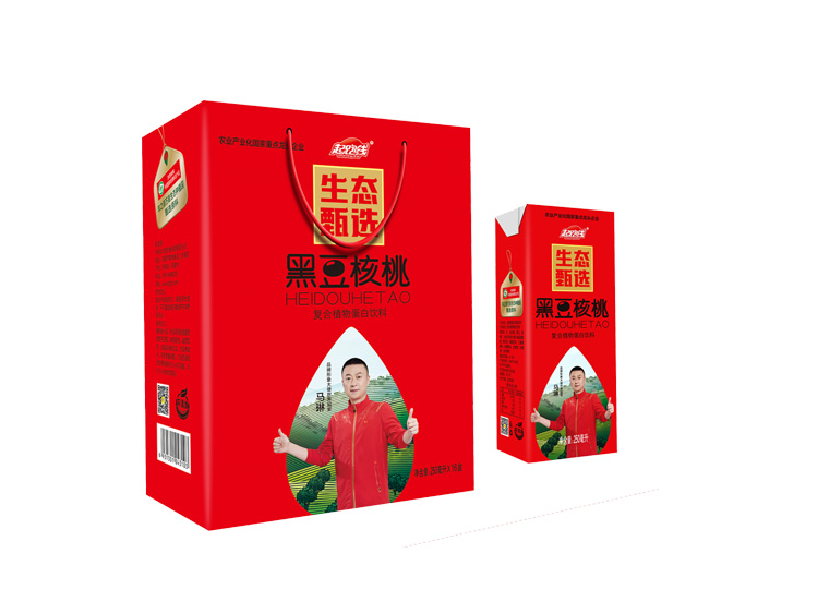 黑豆核桃250ml×16盒